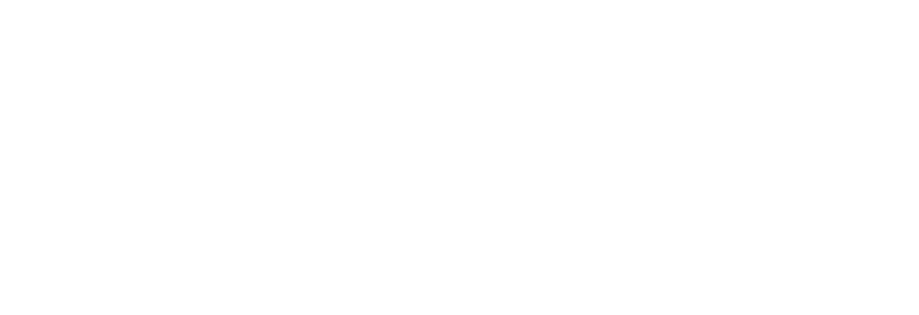 Network of enlightened women logo white.png