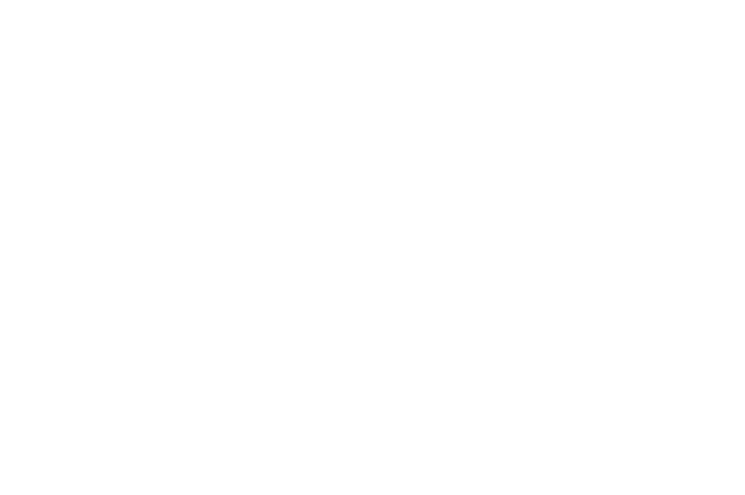 Zebra Logo white .png