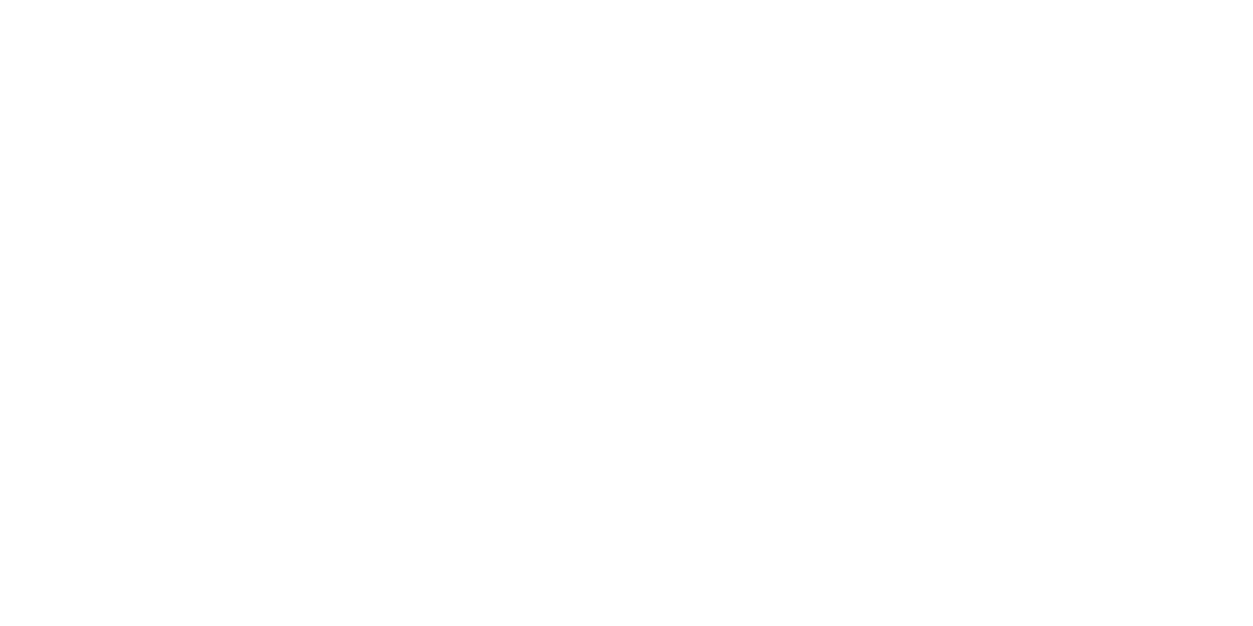 AdelNaturalCosmeticsLogo_white.png