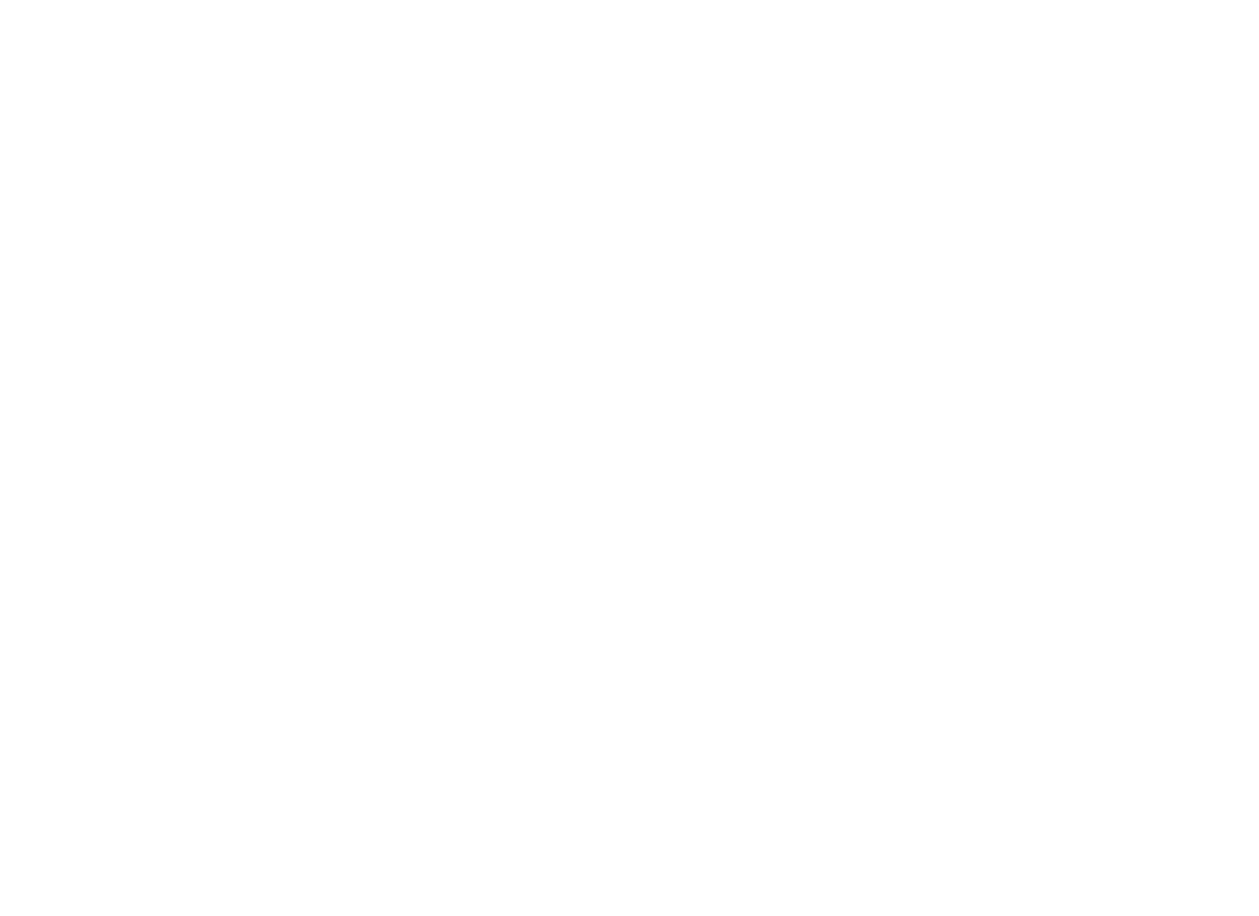 The Epoch Times.png