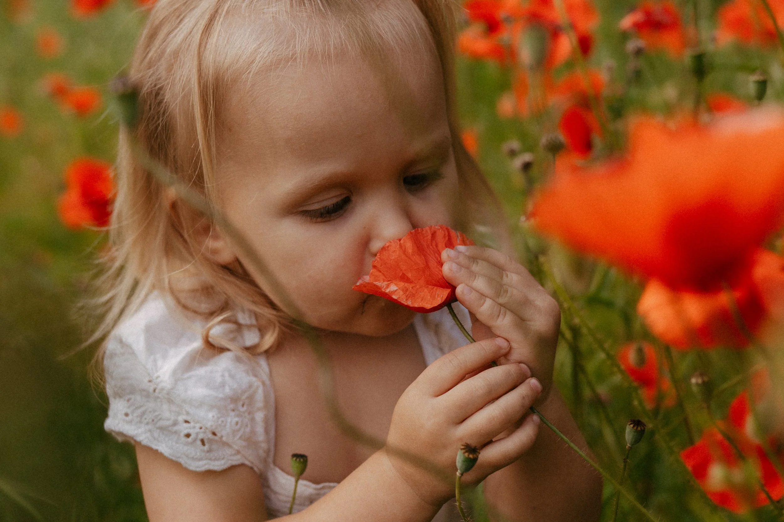Family Photoshoot Saffron Walden Meadows