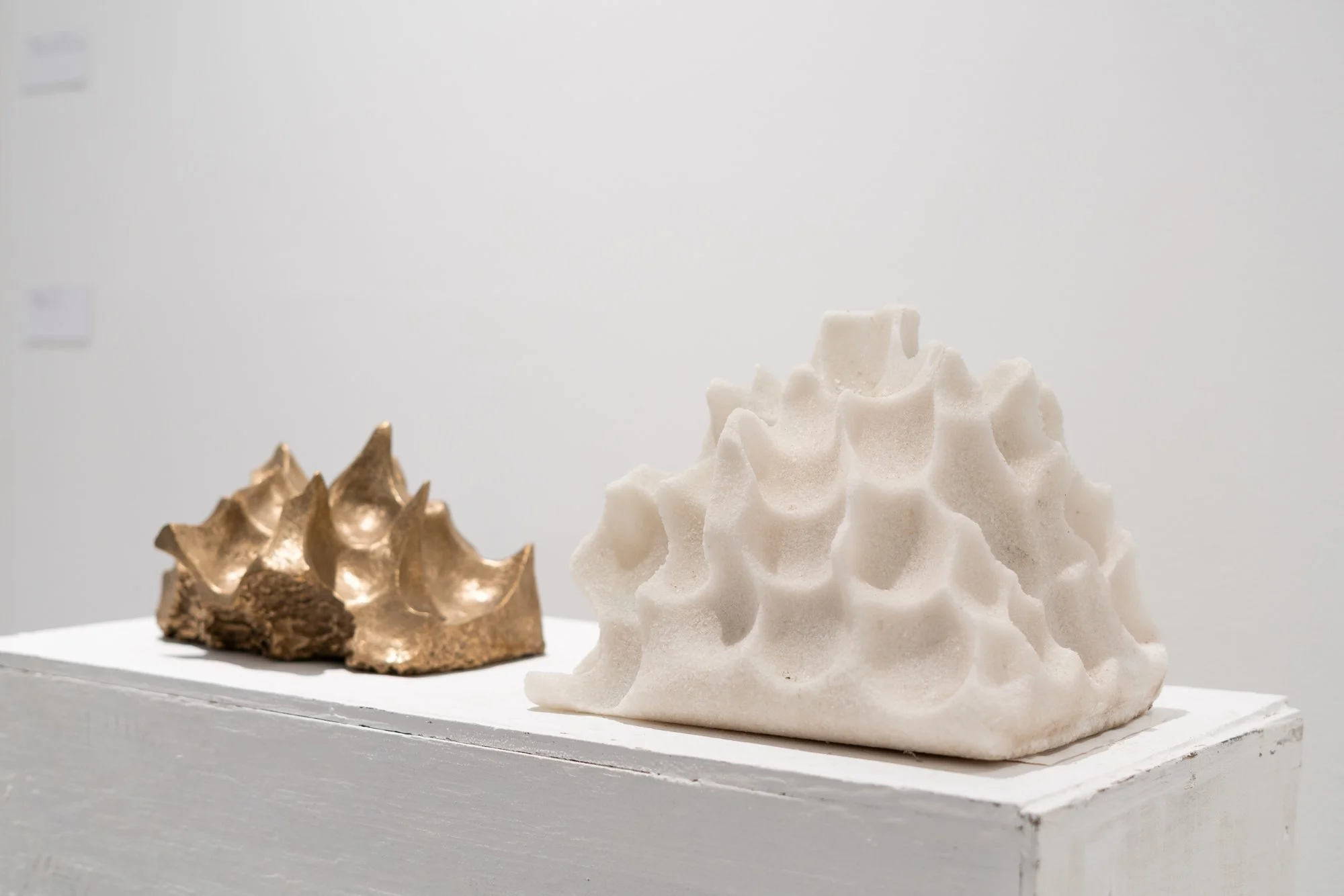 Maine Media College  |  Featuring Kristina Van Dyke Fort