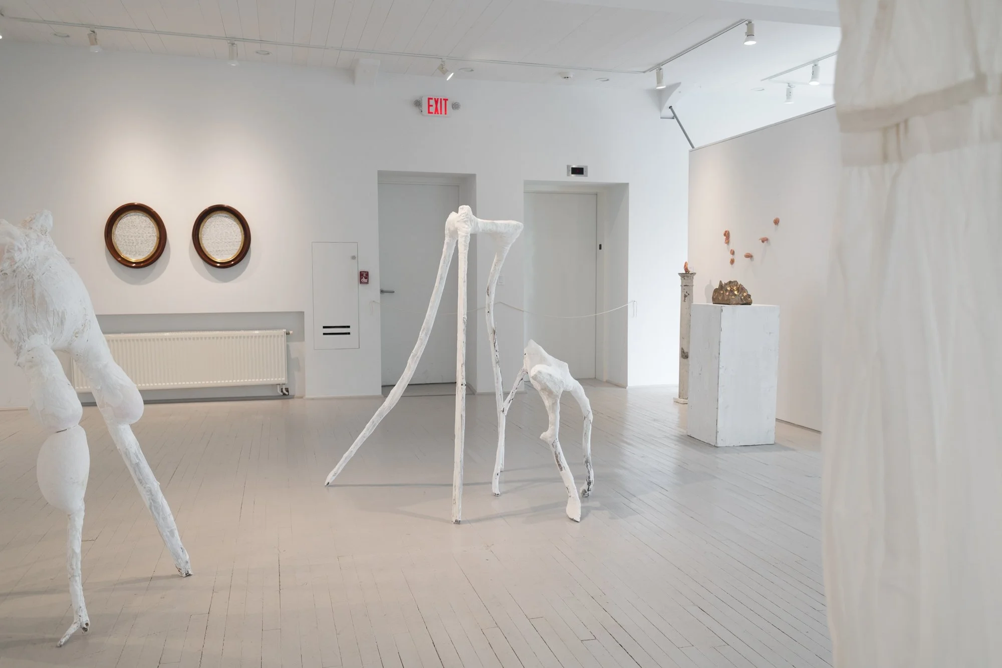 Maine Media College  |  Featuring Kristina Van Dyke Fort