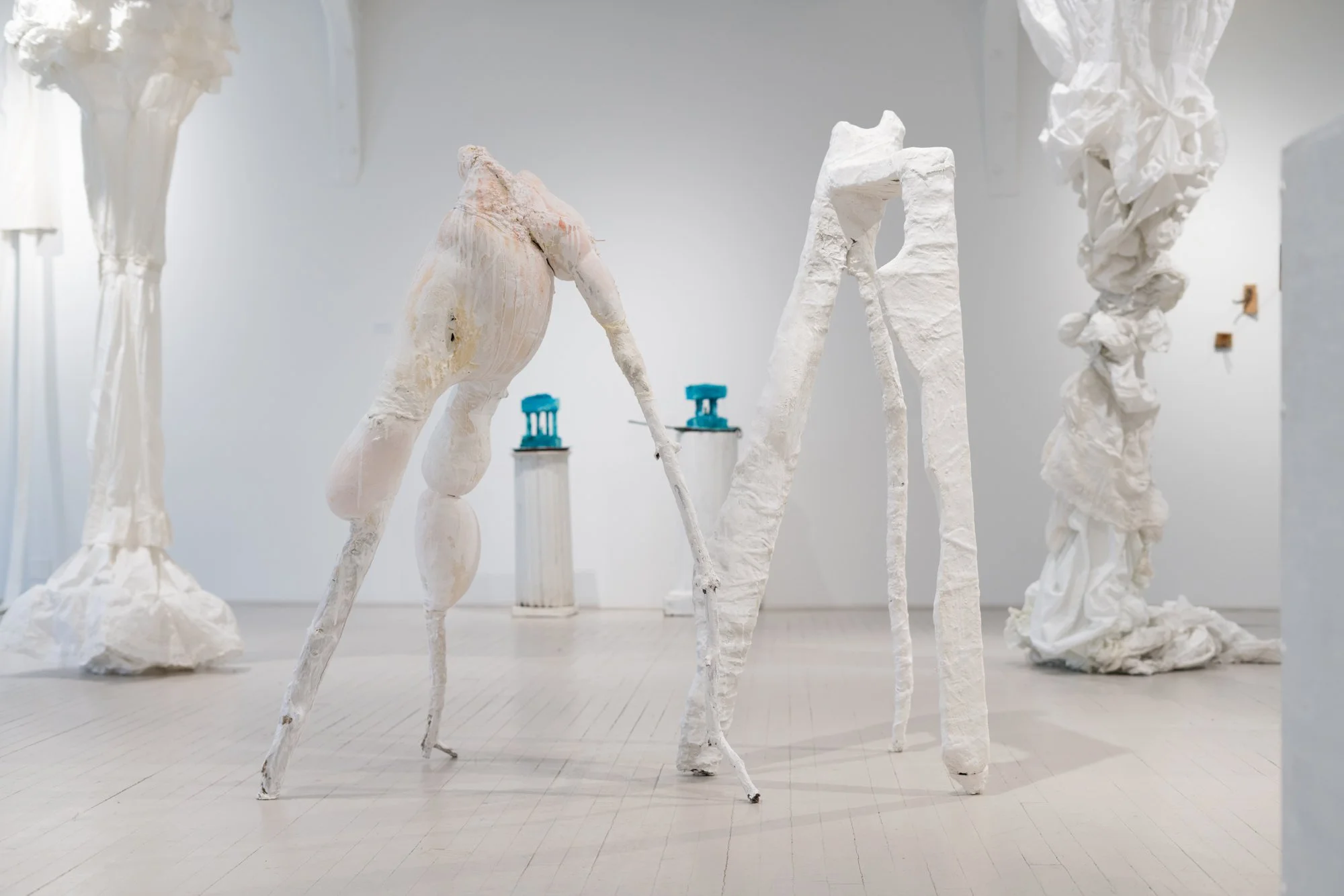 Maine Media College  |  Featuring Kristina Van Dyke Fort