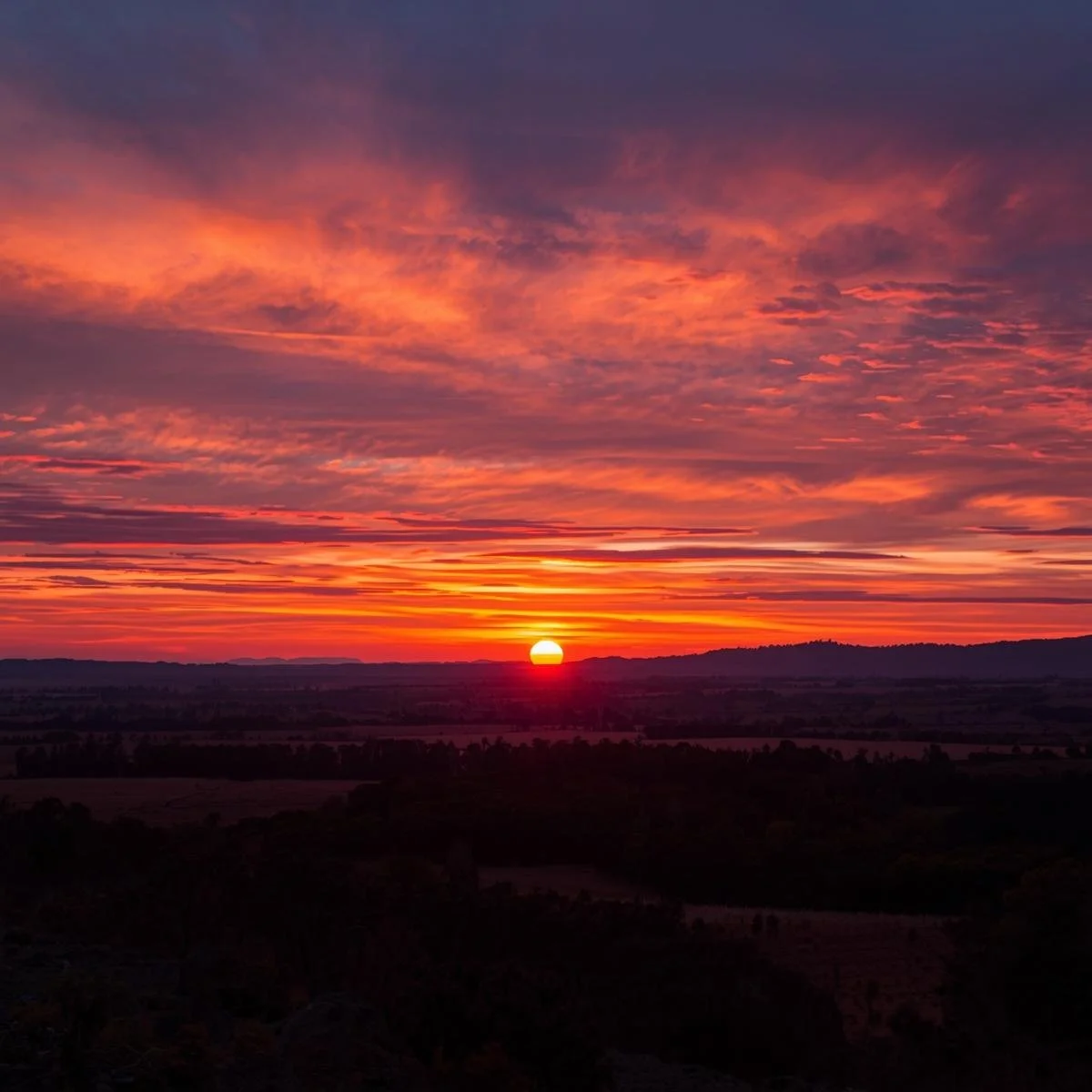 This Week Tarot Reading