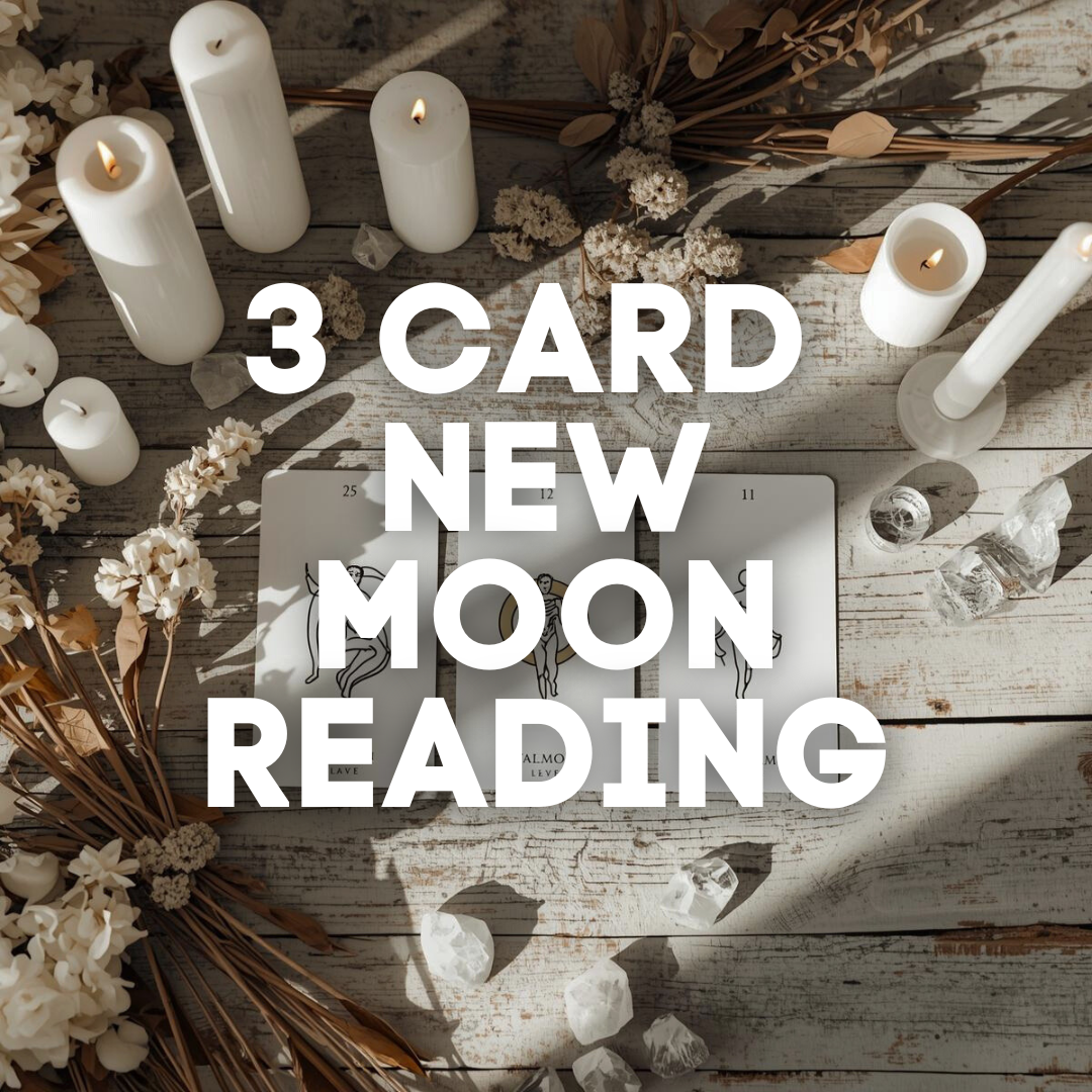 3 Card New Moon Tarot Reading