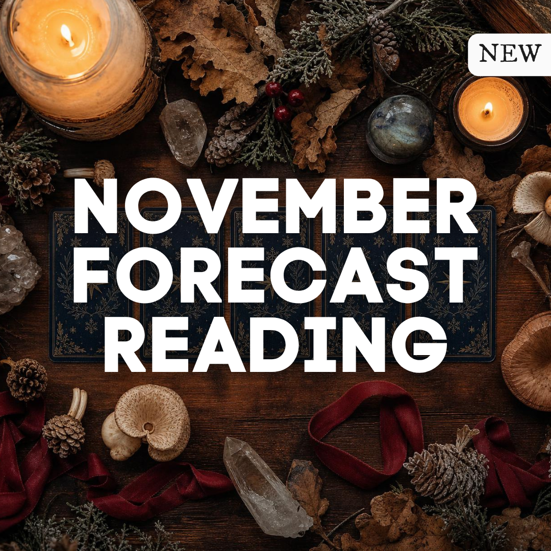 november 2026 READING.png