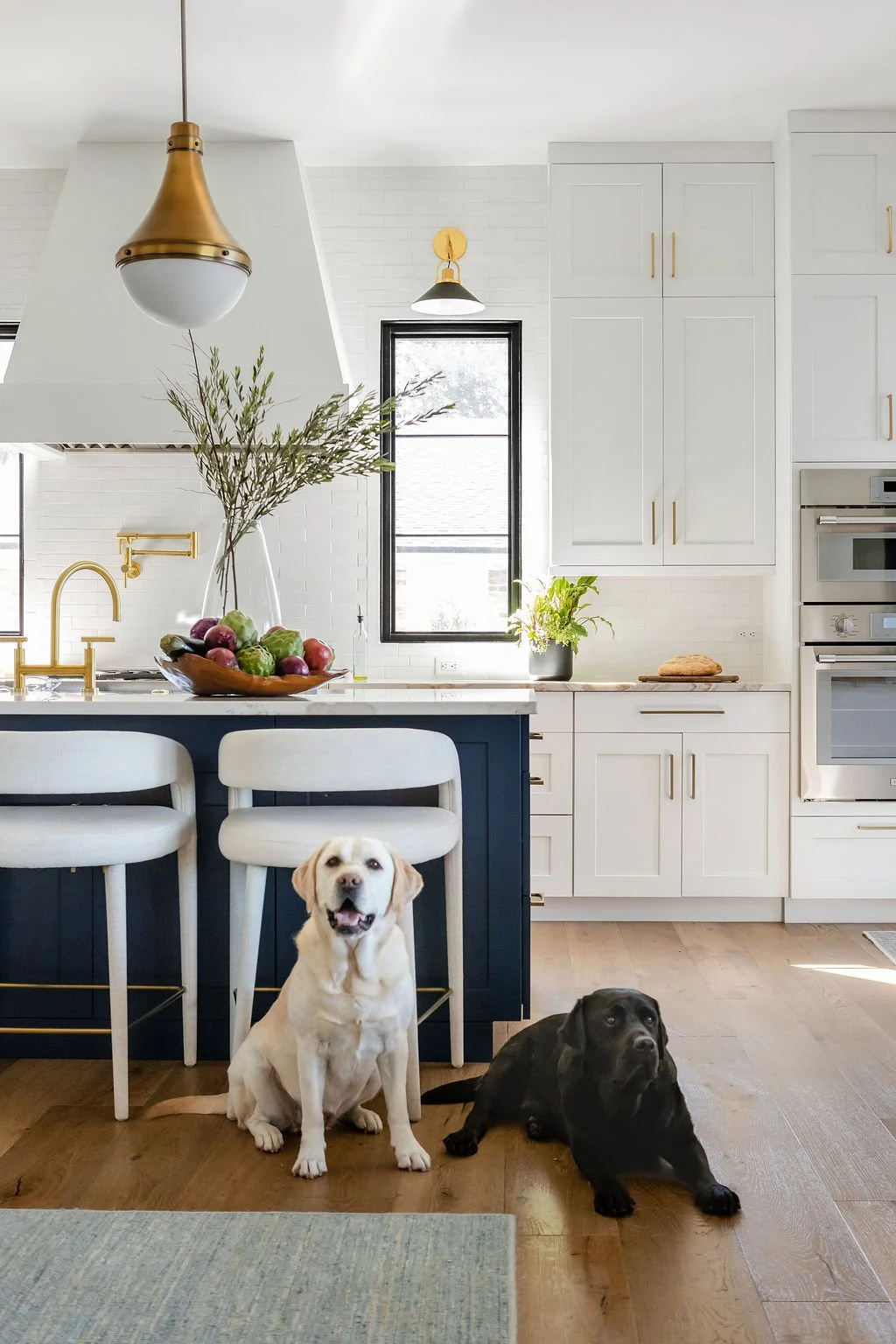 Modern kitchen with white cabinets, stainless steel appliances, and a navy blue island. Two dogs, a yellow Labrador and a black Labrador, sit on the wooden floor in front of the island. The kitchen has a window, a small plant, and a bowl of fruit on the counter.