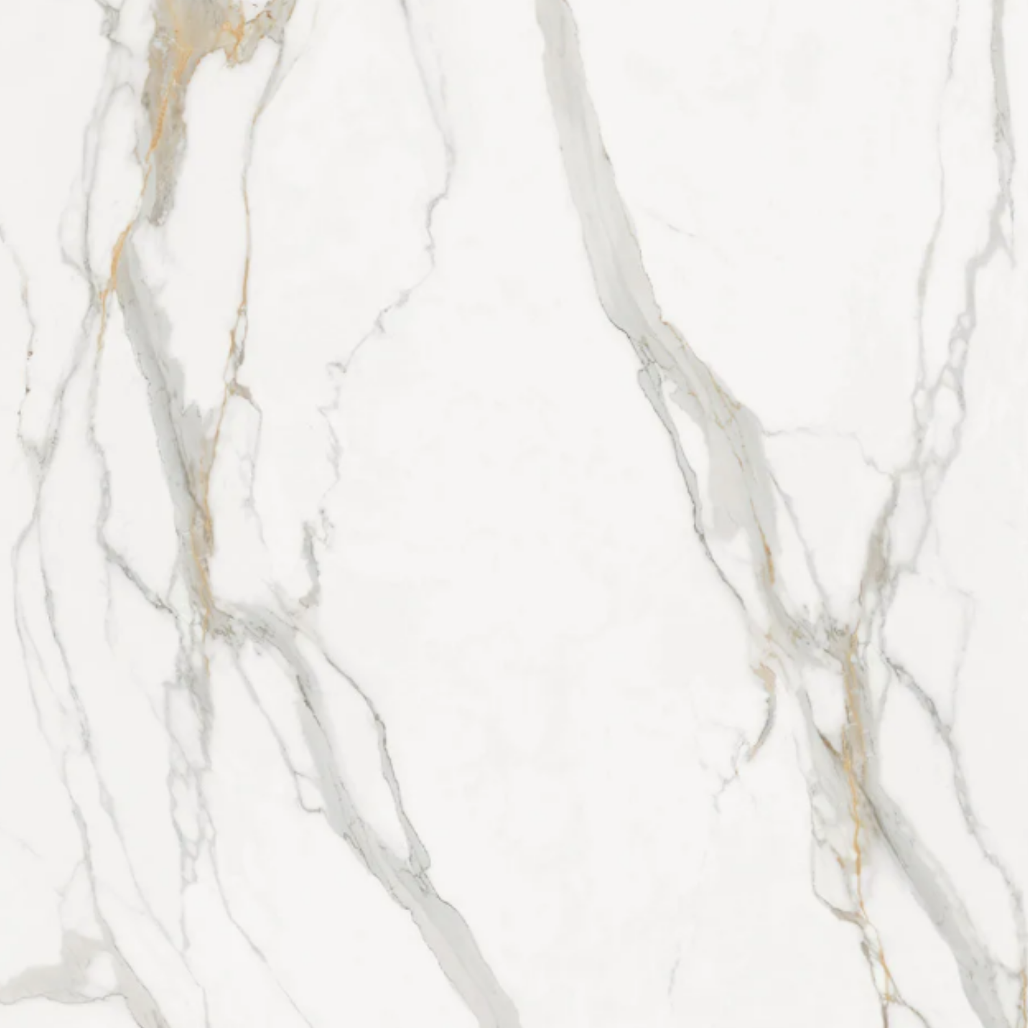 Calacatta Oro Polished - Porcelain
