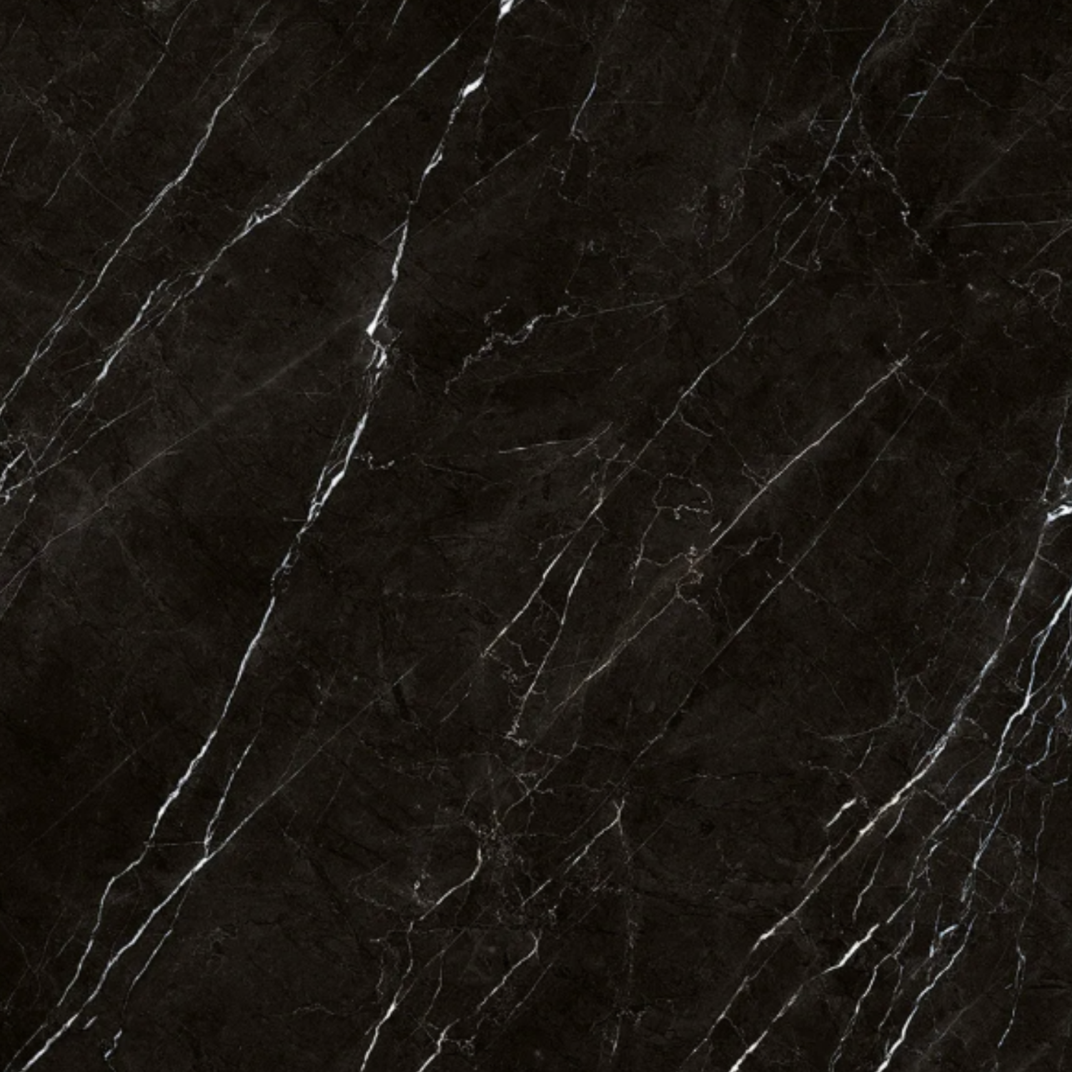 Nero Marquina Polished - Porcelain