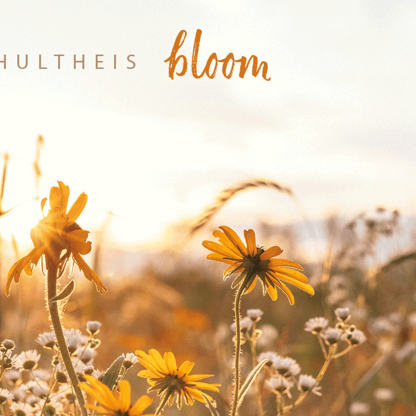 SS01-20_Bloom_DigitalAlbumCvr_2025Update.png