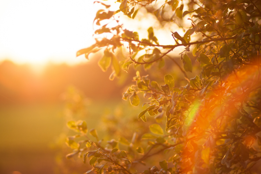 Sunrise.png