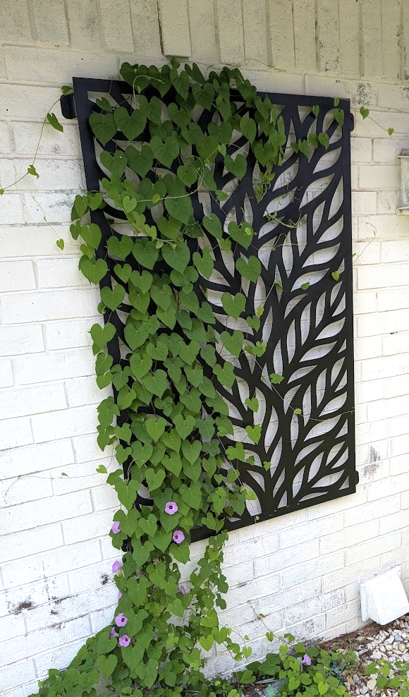 Custom black metal garden trellis with decorative leaf design supporting climbing plants.