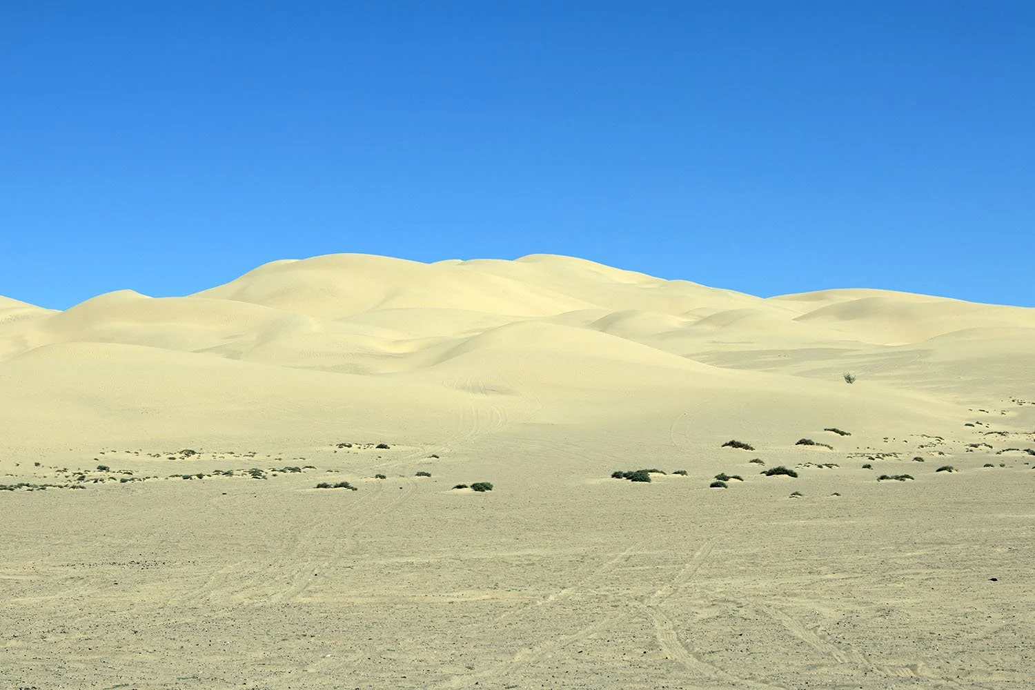 Winterhaven, California | Algodones Dunes Recreation Area. 