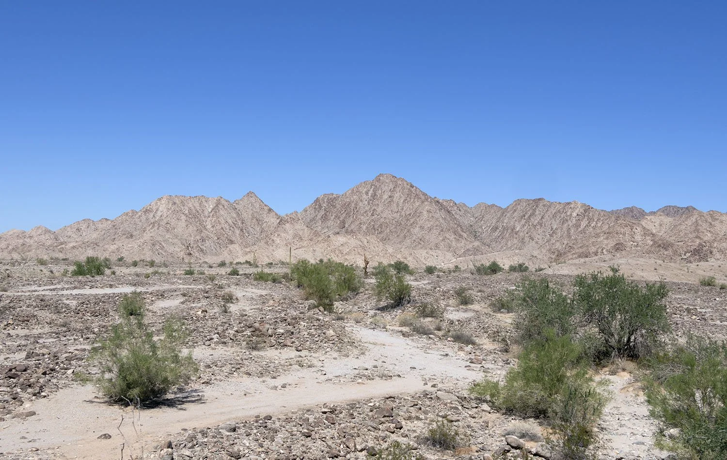 Yuma, Arizona | Sonoran Desert near Yuma. 