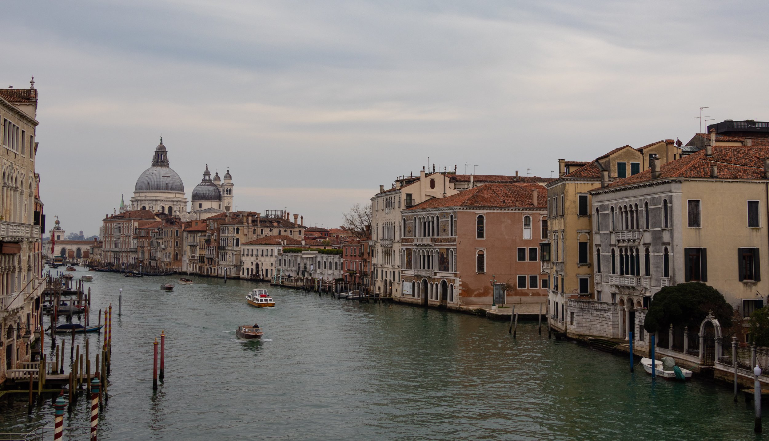 IMG_7124.jpg