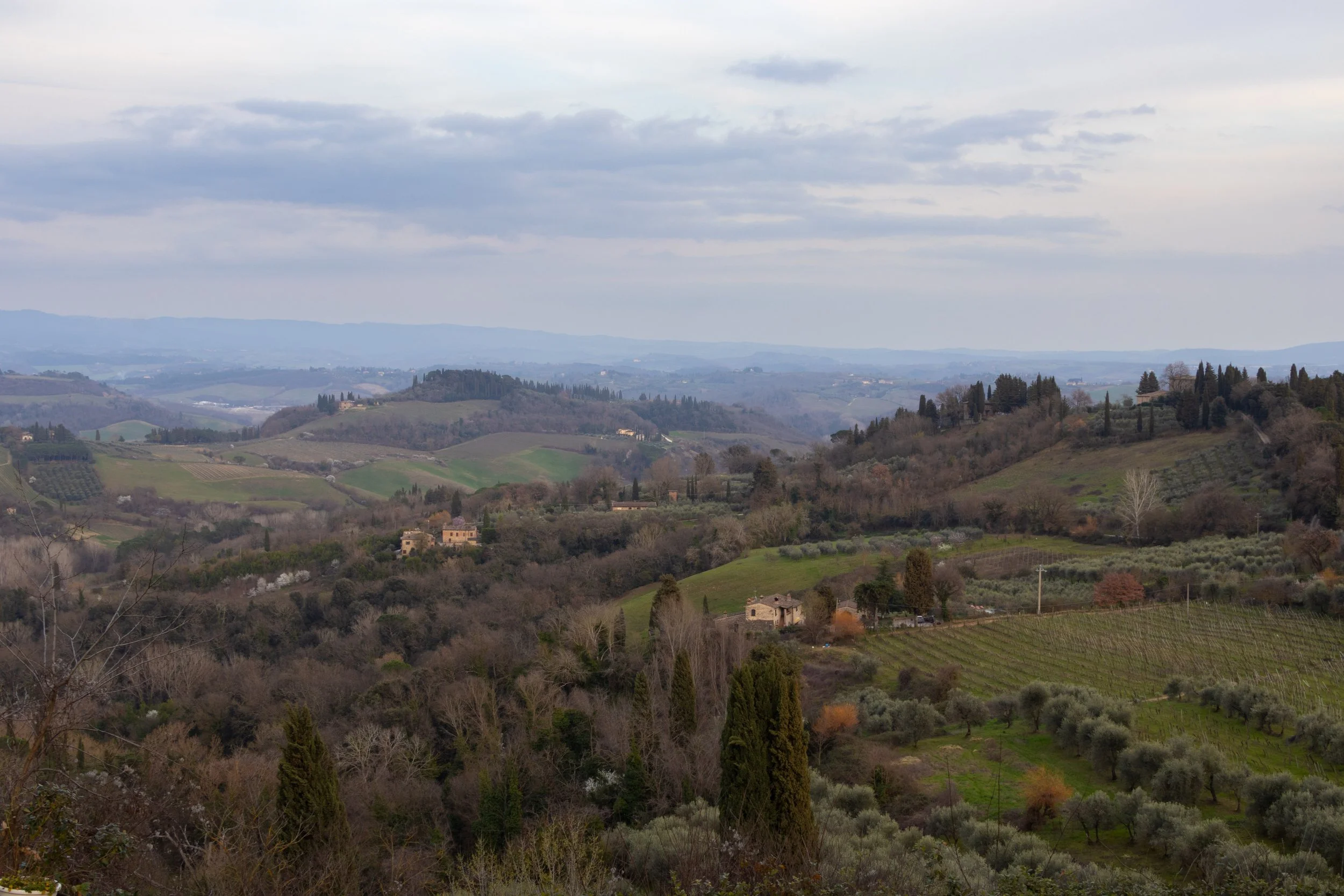 Arezzo, Italy | Rolling hills, vineyards, and olive groves near Arezzo showcase the timeless beauty of the Tuscan countryside.