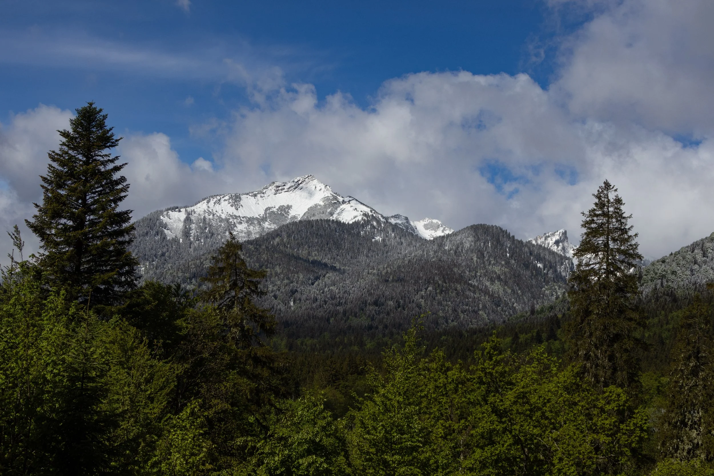 Bavaria, Germany | Snow-covered peaks rise above the forests of Bavaria. 