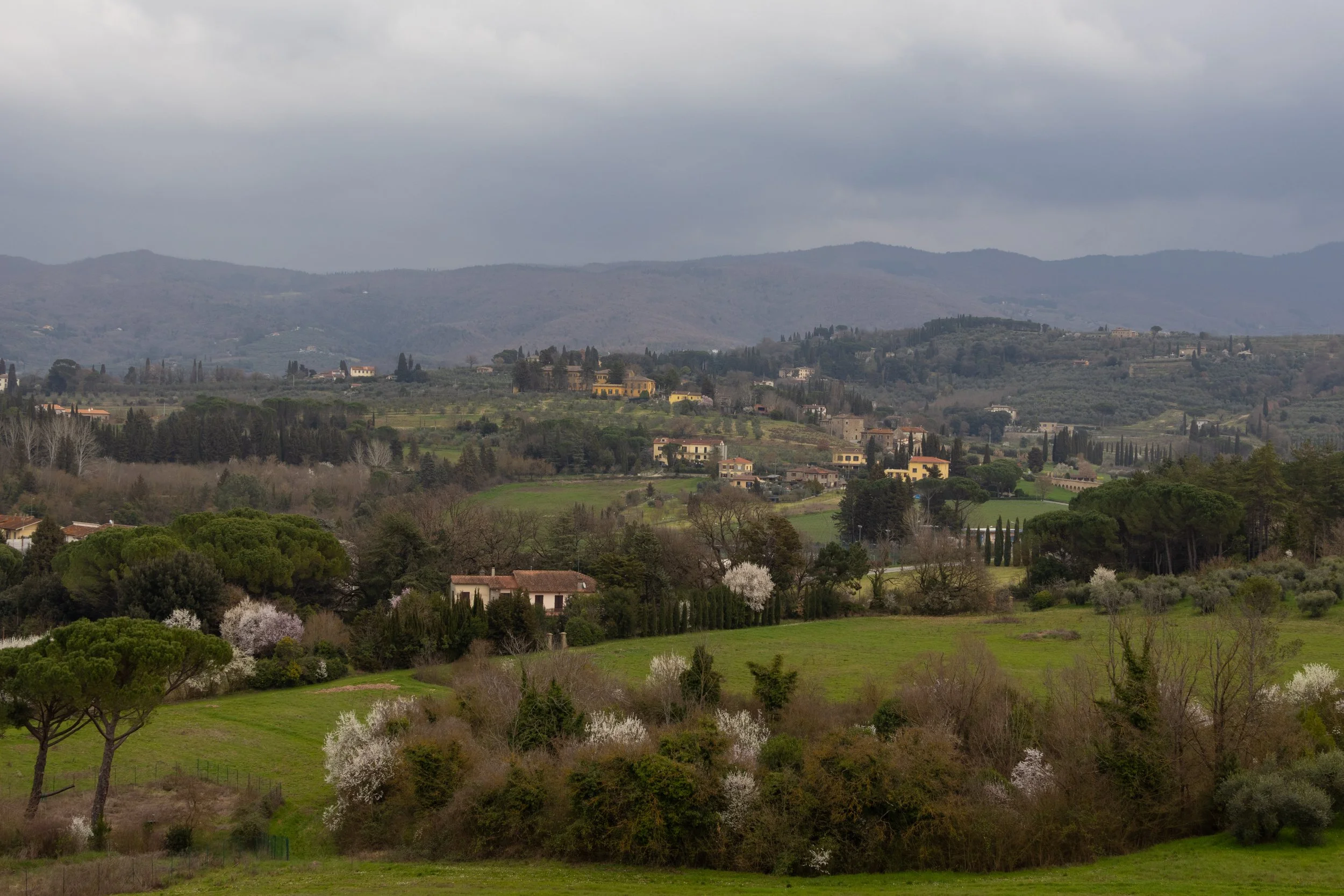 Arezzo, Italy | spring blossoms and rolling hills bring the countryside near Arezzo to life,  capturing the vibrant beauty of Tuscany. 