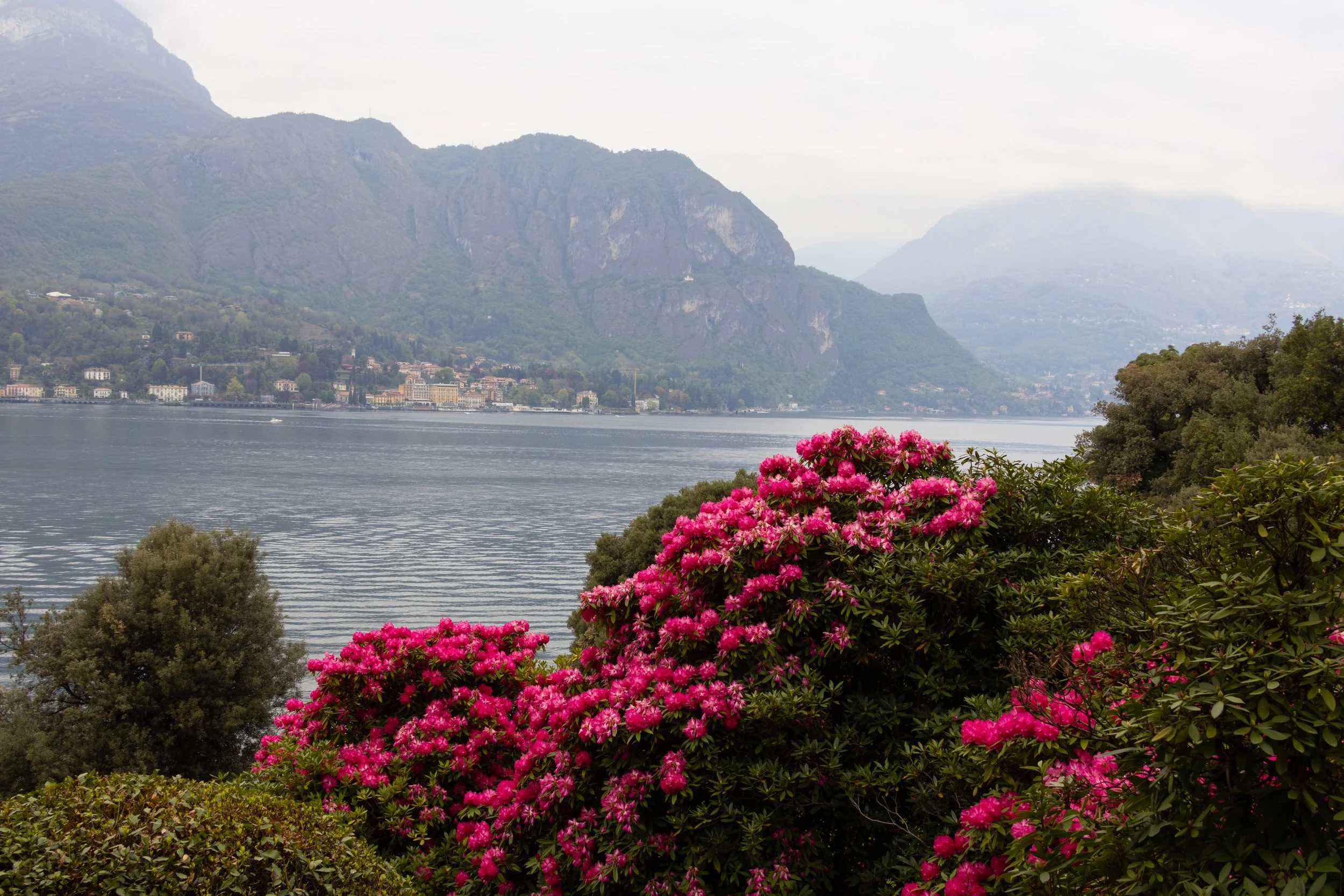 Bellagio, Italy | Bright pink flowers frame a peaceful view of Lake Como and the surrounding mountains. 