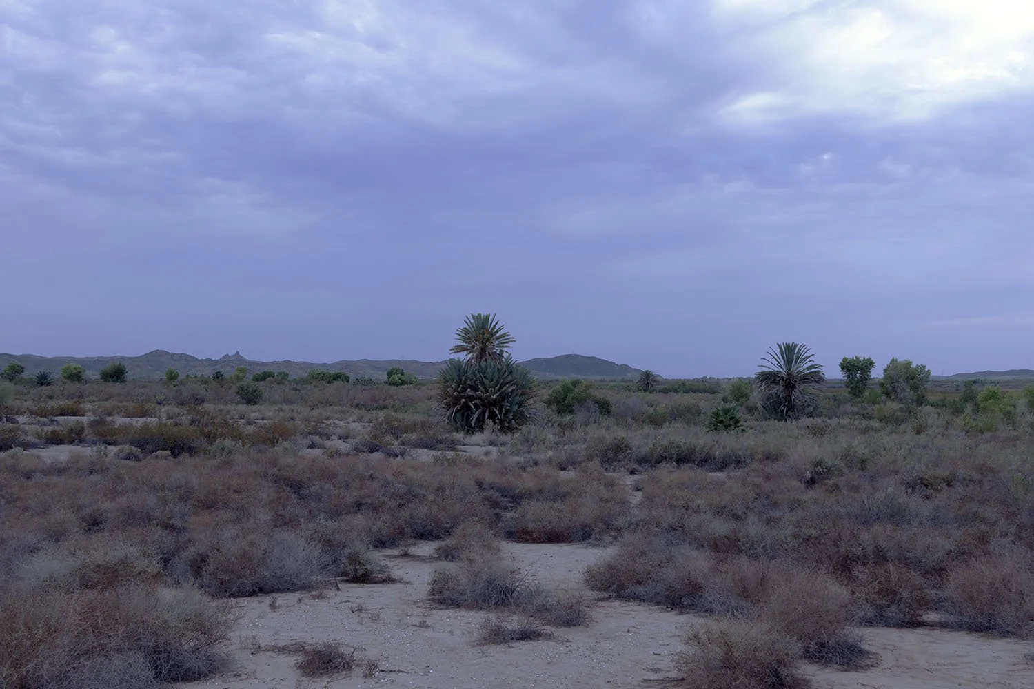 Yuma, Arizona | Desert landscape near Mittry  Lake. 