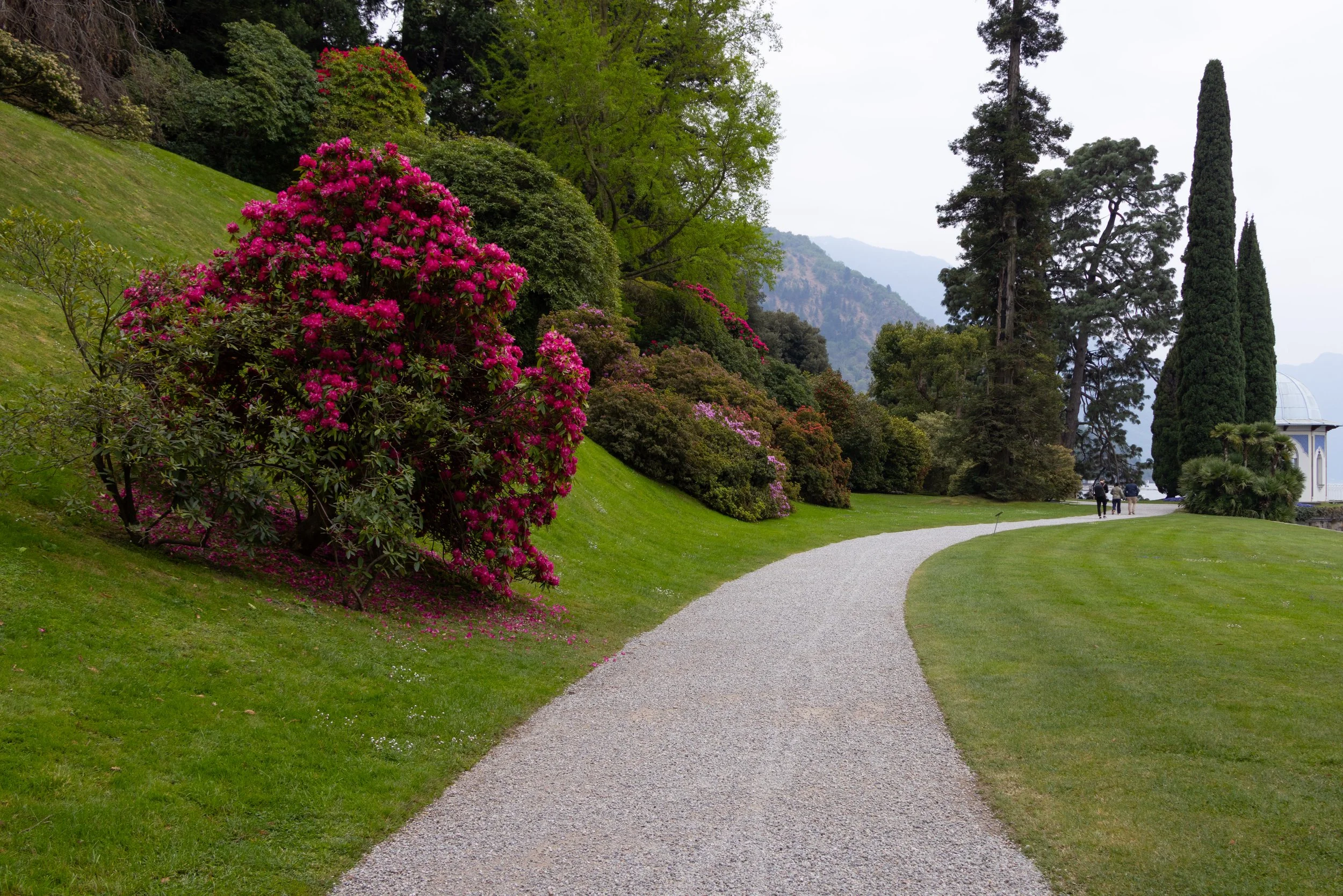 Bellagio, Italy | A winding garden path surrounded by blooming flowers and greenery near Lake Como. 