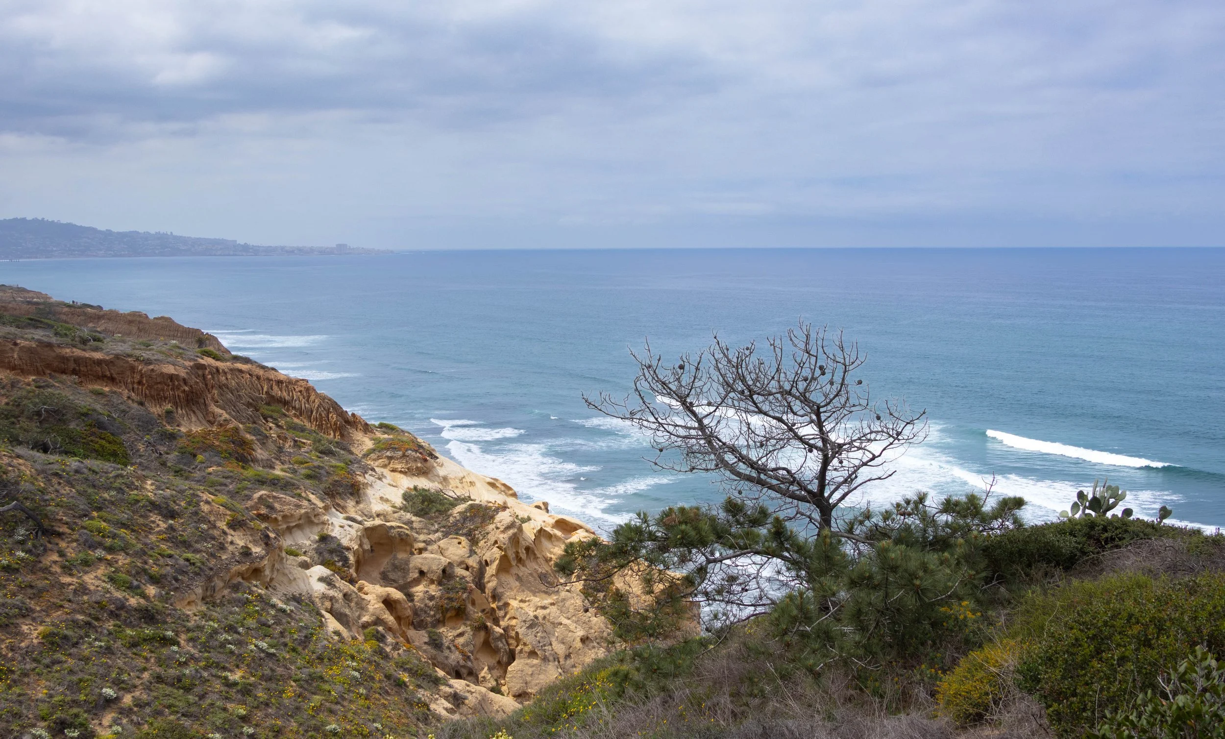 San Diego, California | Coastal view from Torrey Pines State Natural Reserve. 