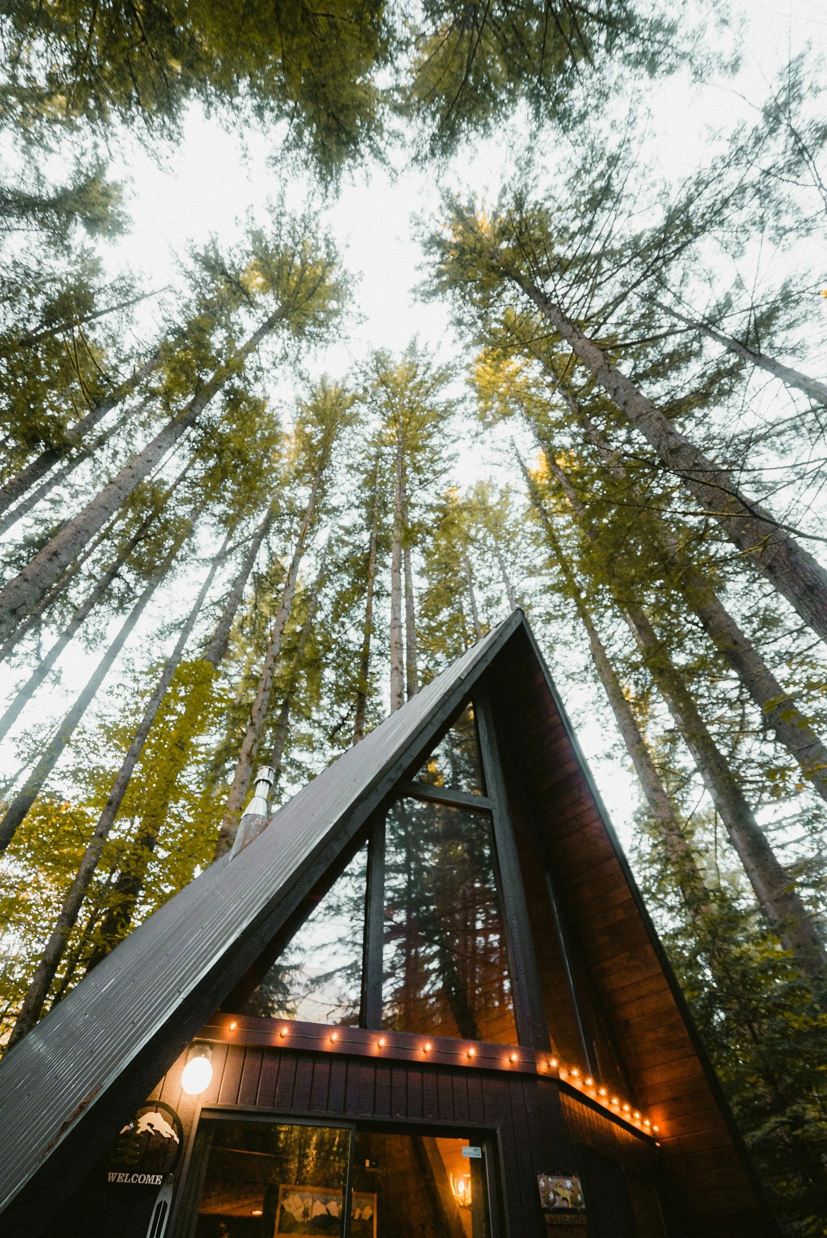 A black A-frame cabin with large triangular windows, decorated with string lights, surrounded by tall pine trees in a forest.
