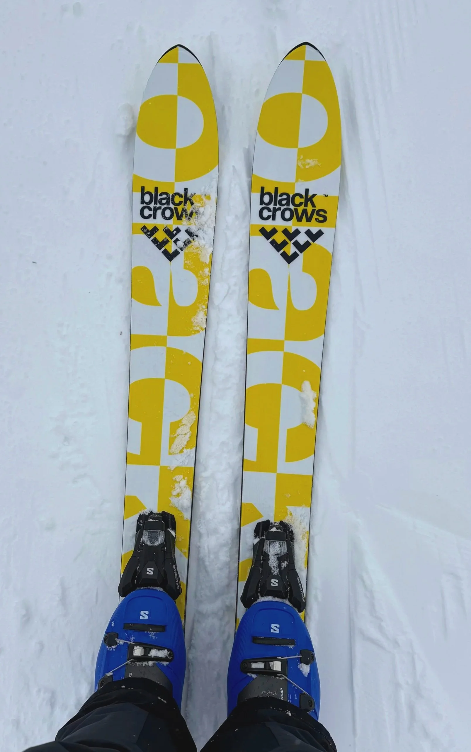 2027 Black Crows Vena Cor