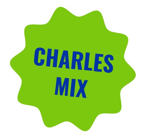 Charles Mix County starburst.