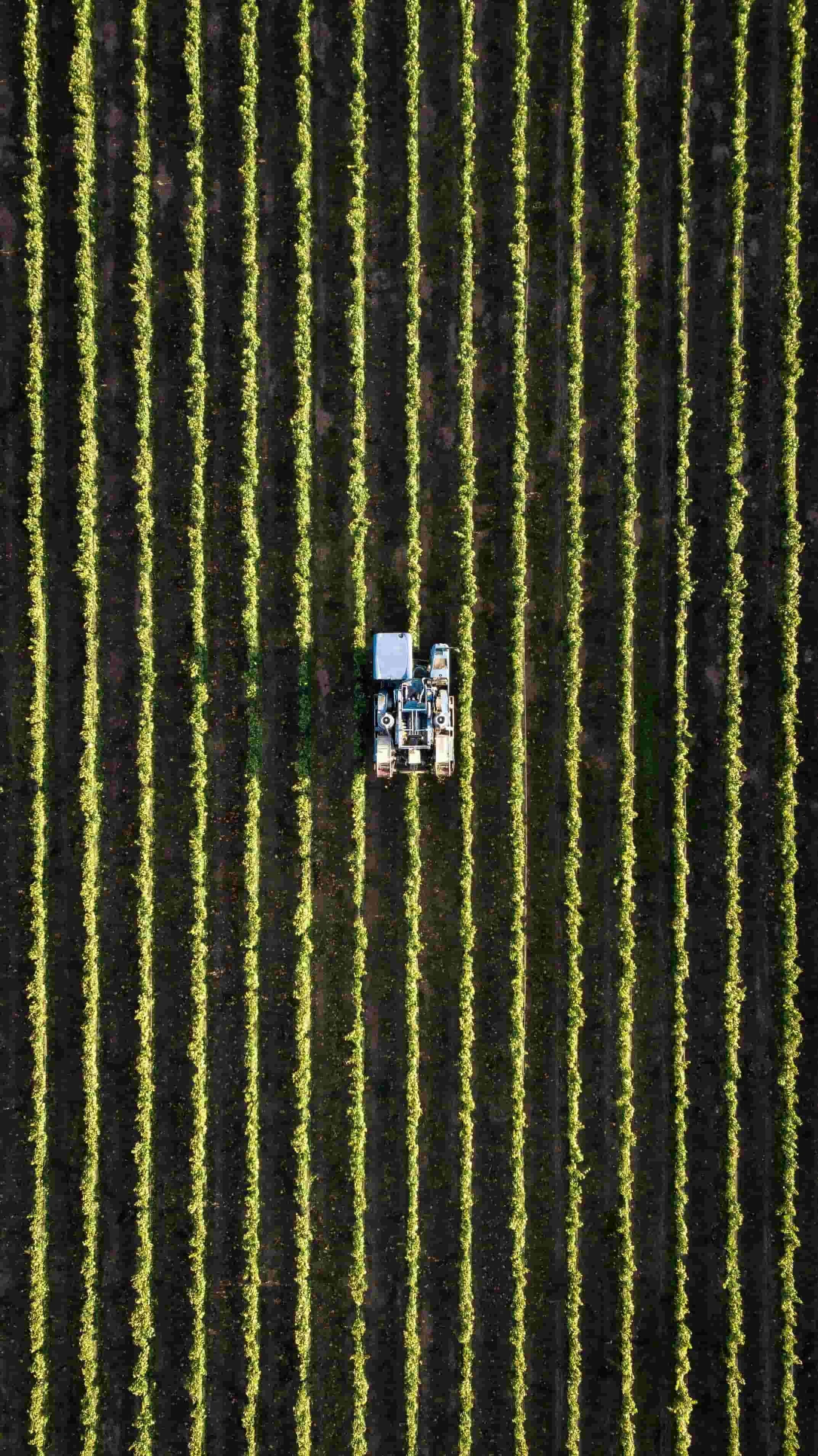 Tractor in field.