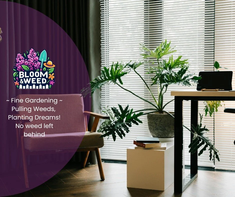 Planning a winter getaway? We&rsquo;ve got your plants covered 🌿✈️

Heading south to escape the cold? Going skiing in the mountains or hopping over to Europe for the holidays? ⛷️❄️
While you&rsquo;re out making memories, Bloom &amp; Weed can make su