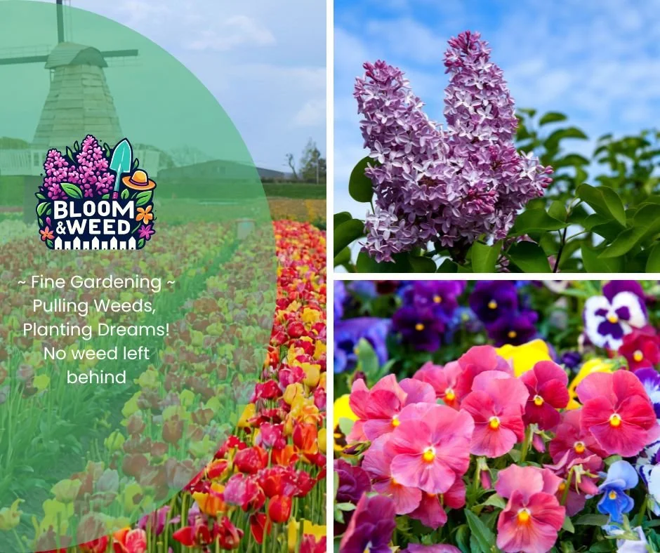 Okay, gardeners&hellip; let&rsquo;s talk plant love 💚

If you had to pick one plant you can&rsquo;t live without, what would it be?

🌿 Hostas that just keep showing up every year
🌸 Coneflowers buzzing with pollinators
🌷 Crocuses popping up throug