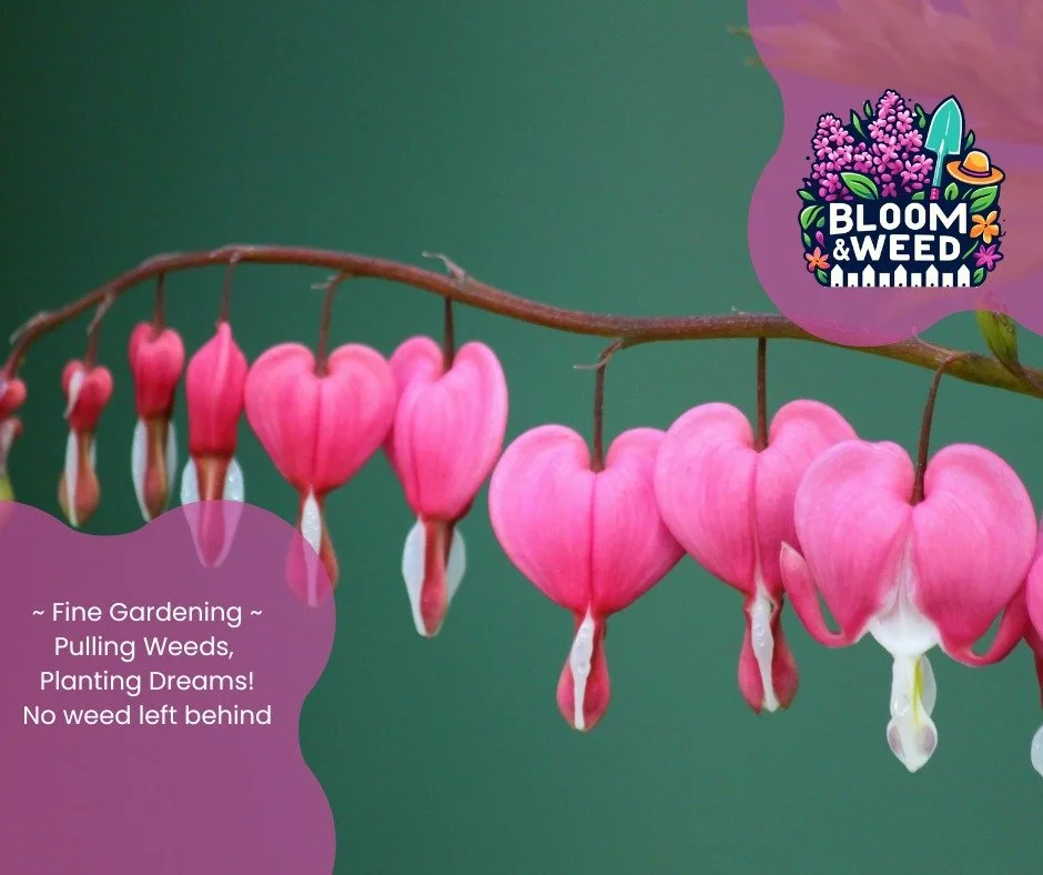 💗Happy Galentine&rsquo;s Day from the garden crew that loves you 💗

One of our favorite things about this work has nothing to do with plants (though we do love those too 🌱).

Last season, a longtime gardener called us after an injury kept her from