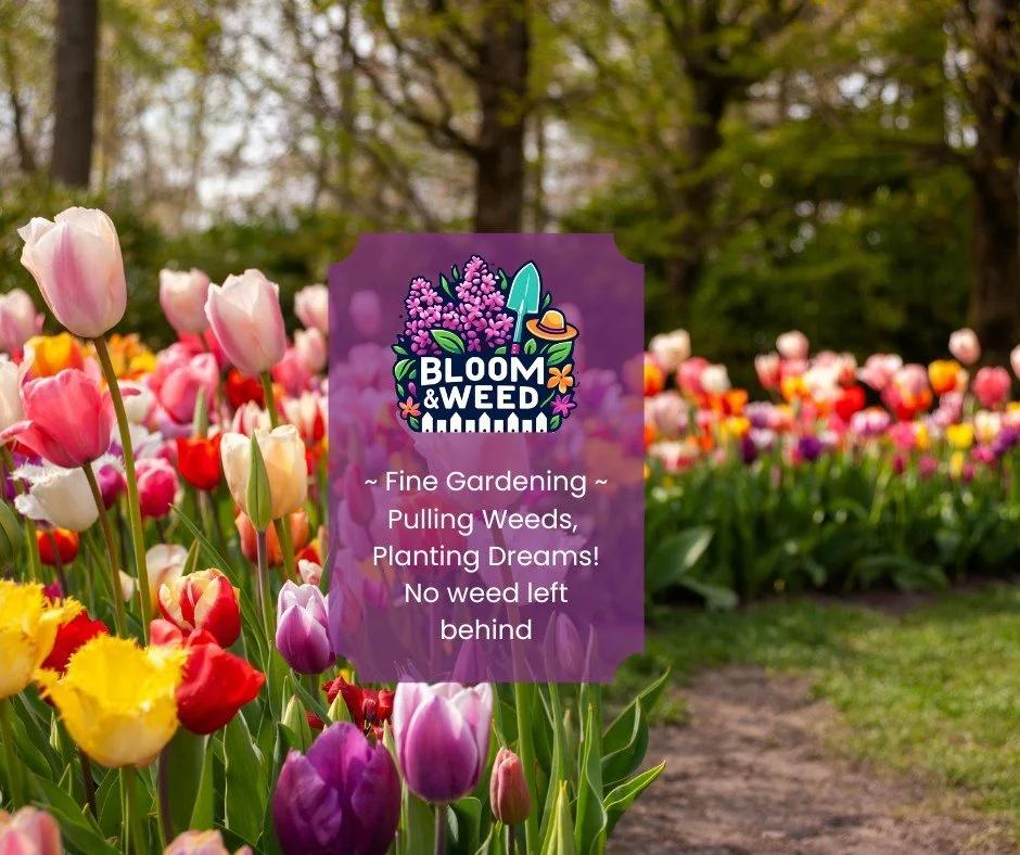 Dear Spring,
We&rsquo;re thinking about you.

About tulips pushing through cold soil.
About bees finding their first flowers.
About gardens waking up slowly, right on time.

February is our reminder that love looks a lot like patience.
And we&rsquo;r