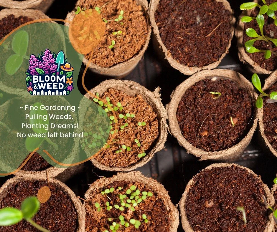 🌱 It&rsquo;s Not Too Late to Start Seeds! 🌱

If you&rsquo;ve been thinking, &ldquo;Did I miss my chance?&rdquo;
Good news &mdash; you absolutely did not.

Starting seeds right now (late February) will still give you strong, healthy plants ready to 