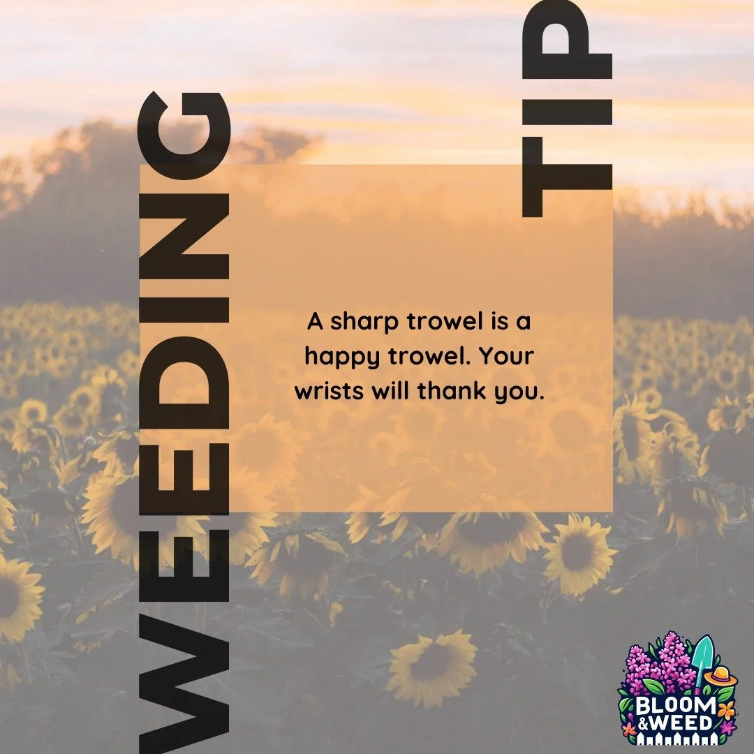 🌿It&rsquo;s time to get those tools sharpened and ready for the season! ✨

Before the spring rush begins, take a little time to give your garden tools some love 💛

A sharp trowel makes digging so much easier (your wrists will thank you!)
Sharpened 