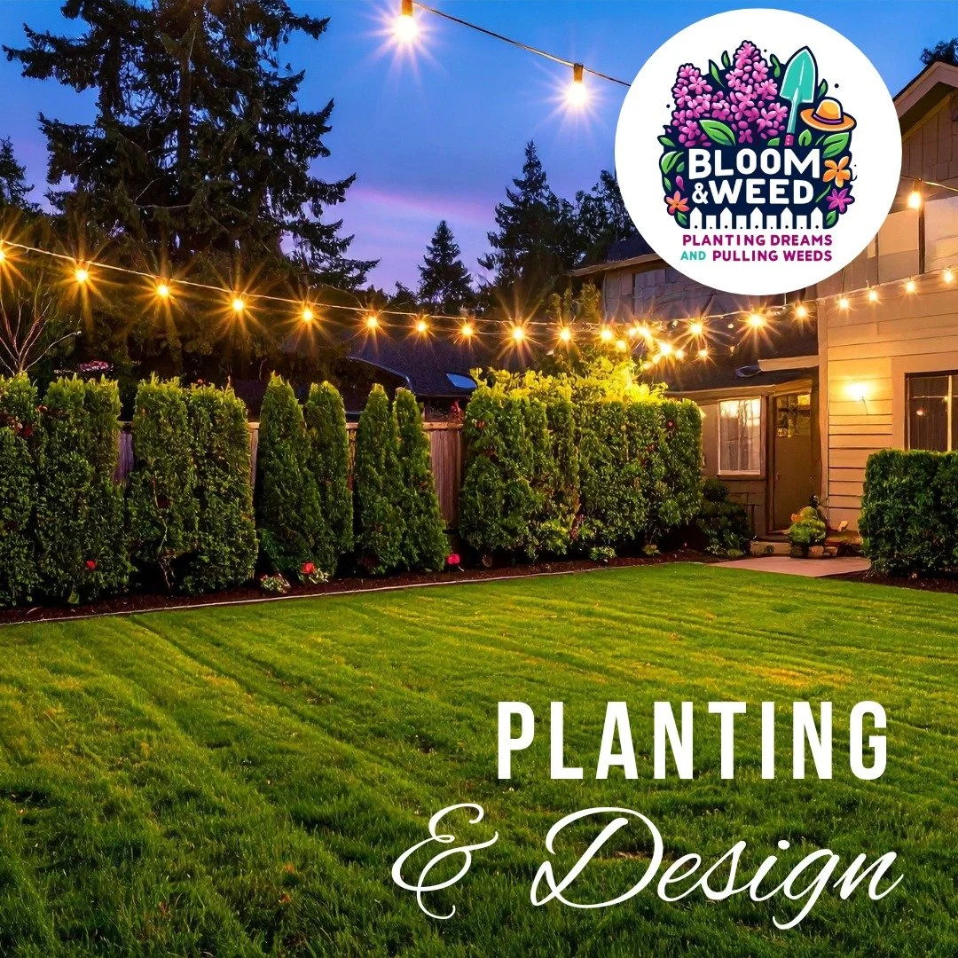 🌿Garden Design Season is Here! 🌿

As we start planning spring gardens, we&rsquo;re excited to share that Britten from Harmonic Studios is partnering with Bloom &amp; Weed to help with garden design and planting projects this season. 🌸

Britten bri