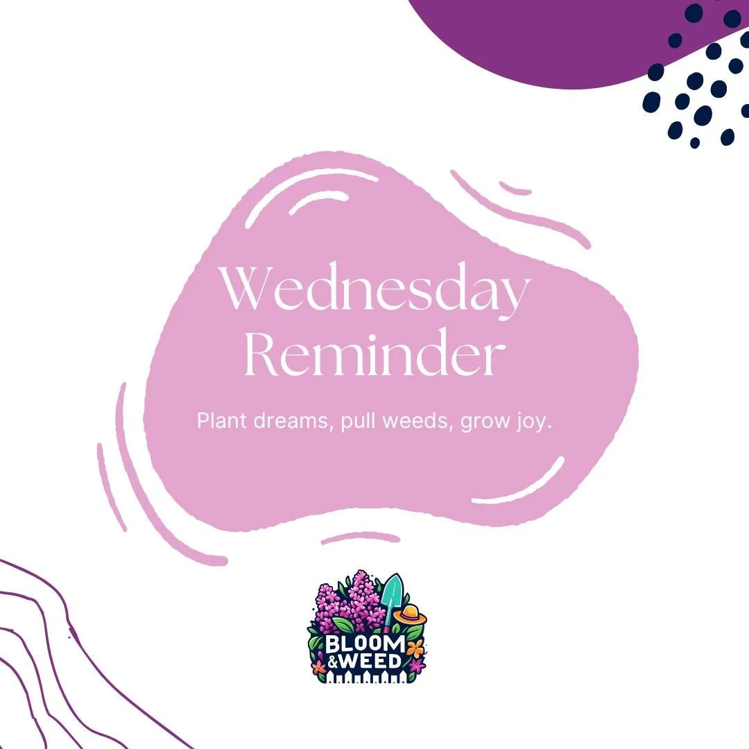 We love our business name. We really do.

But just in case anyone's wondering...

🌱 Bloom &amp; Weed = fine gardening
🌿 We pull the weeds, not supply them
💆&zwj;♀️No, we're not a dispensary.
📞 Heather answers the phone and has stories for days...