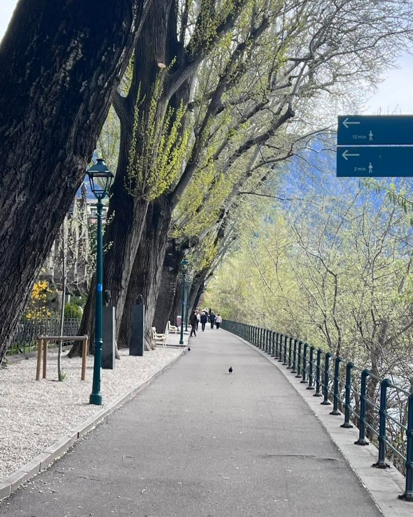 Heather here! 🇮🇹✨

I&rsquo;m in Merano, Italy now, and the trees are absolutely spectacular. This area is just beautiful. 🌲🏔️

I&rsquo;m also having a pretty funny time mixing German, Italian, and English together over here 🤣

This region was ta