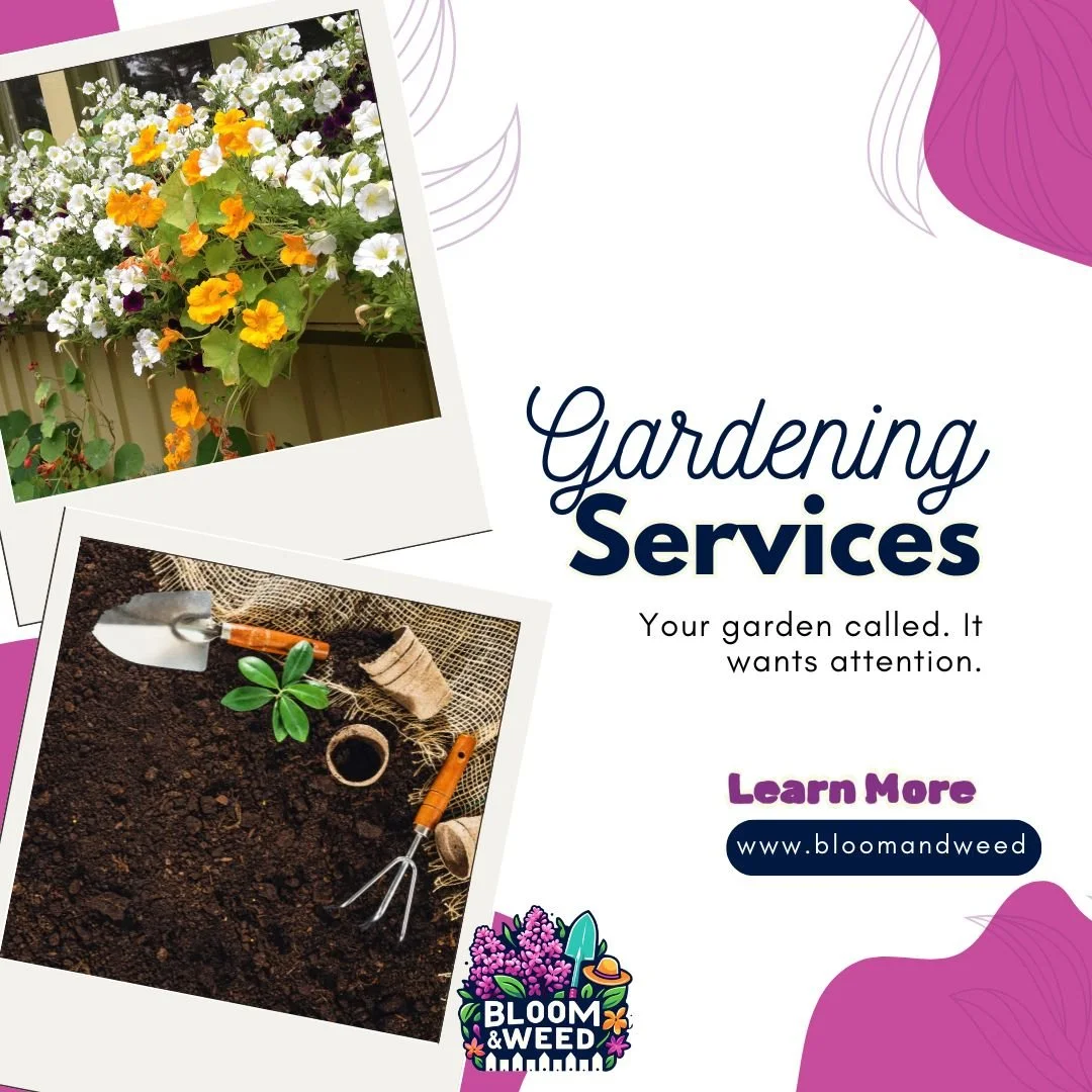 🌱 Spring Renewals:  Book Your Cleanup Today!

Winter is finally packing its bags. Time to wake up the garden!

Here's what's on our to-do list this week:

🍂 Clear the debris &ndash; Rake up leaves, twigs, and anything winter blew in. Compost the he