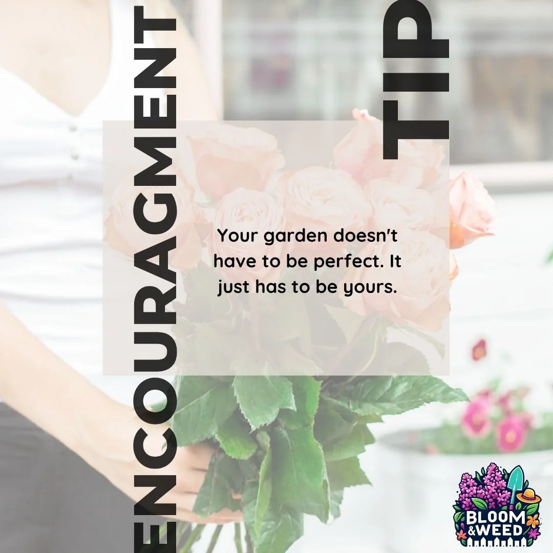 🌱 Spring Renewals: Direct Sowing Hardy Annuals 🌸

Not everything needs to be started indoors! Some of the best spring flowers can go straight into the ground. Right now. In Michigan. (Yes, really!)

What are hardy annuals?

Flowers that can handle 