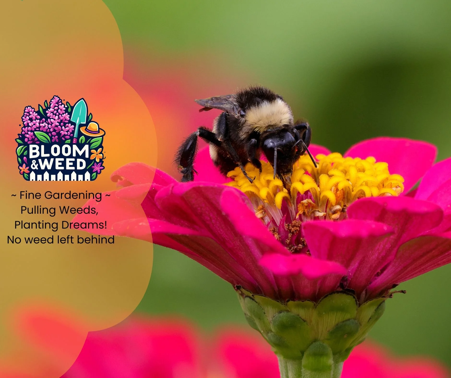 🌦️ Spring Renewals: Buffer Days ☔

We love making your garden gorgeous, but we also love keeping our team safe &amp; healthy.

So what happens when Michigan weather throws a tantrum? (Because it will. It always does. 😅)

We communicate. We reschedu