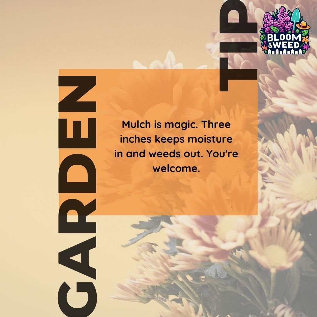 ✨ Mulch is magic, and we've got the wand! ✨

Now let's talk about why we're obsessed with mulch this time of year.

🪵 Three inches &ndash; That's the sweet spot. Enough to smother weeds and lock in moisture, not so much that you risk rot.

💧 Keeps 