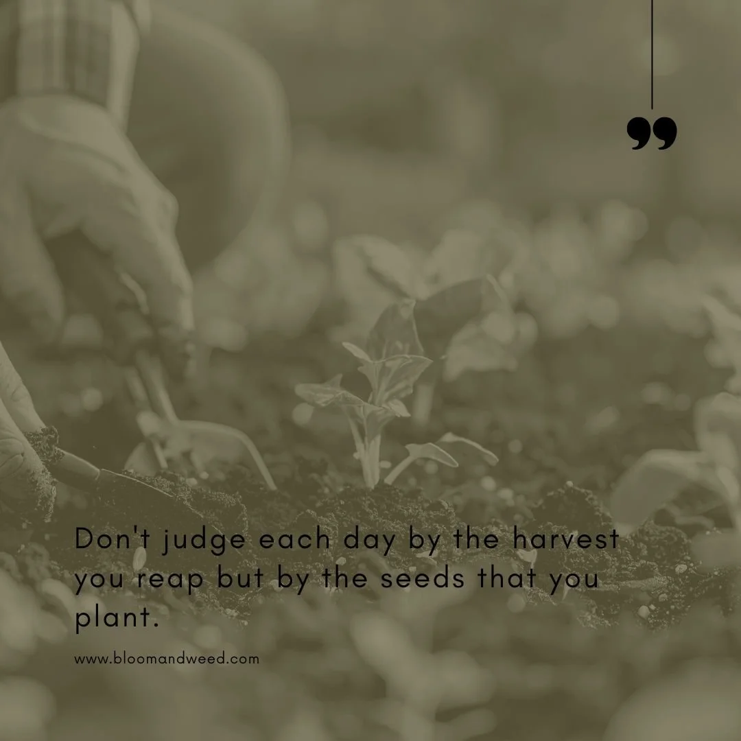 🌱 A little gardening wisdom for your Thursday...

"Don't judge each day by the harvest you reap, but by the seeds that you plant."

Whether it's flower seeds, kind words, or small good habits, keep planting. The harvest will come. 💚

Happ