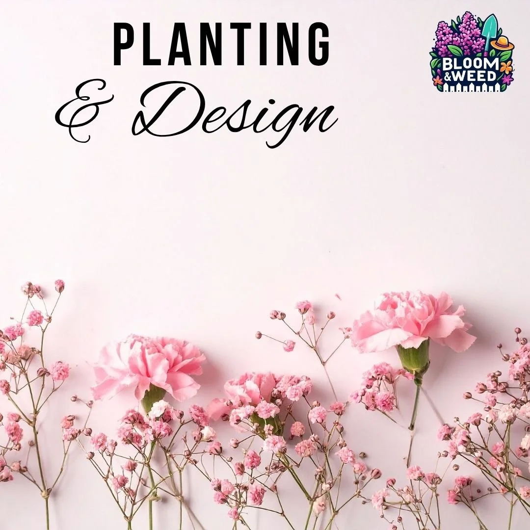 Not sure what to plant where?

Have a vision but don't know how to bring it to life?

We have just the most amazing thing for you. ✨

Meet Britten &ndash; one of our design team members. She'll come out, listen to your ideas, and turn them into a gar