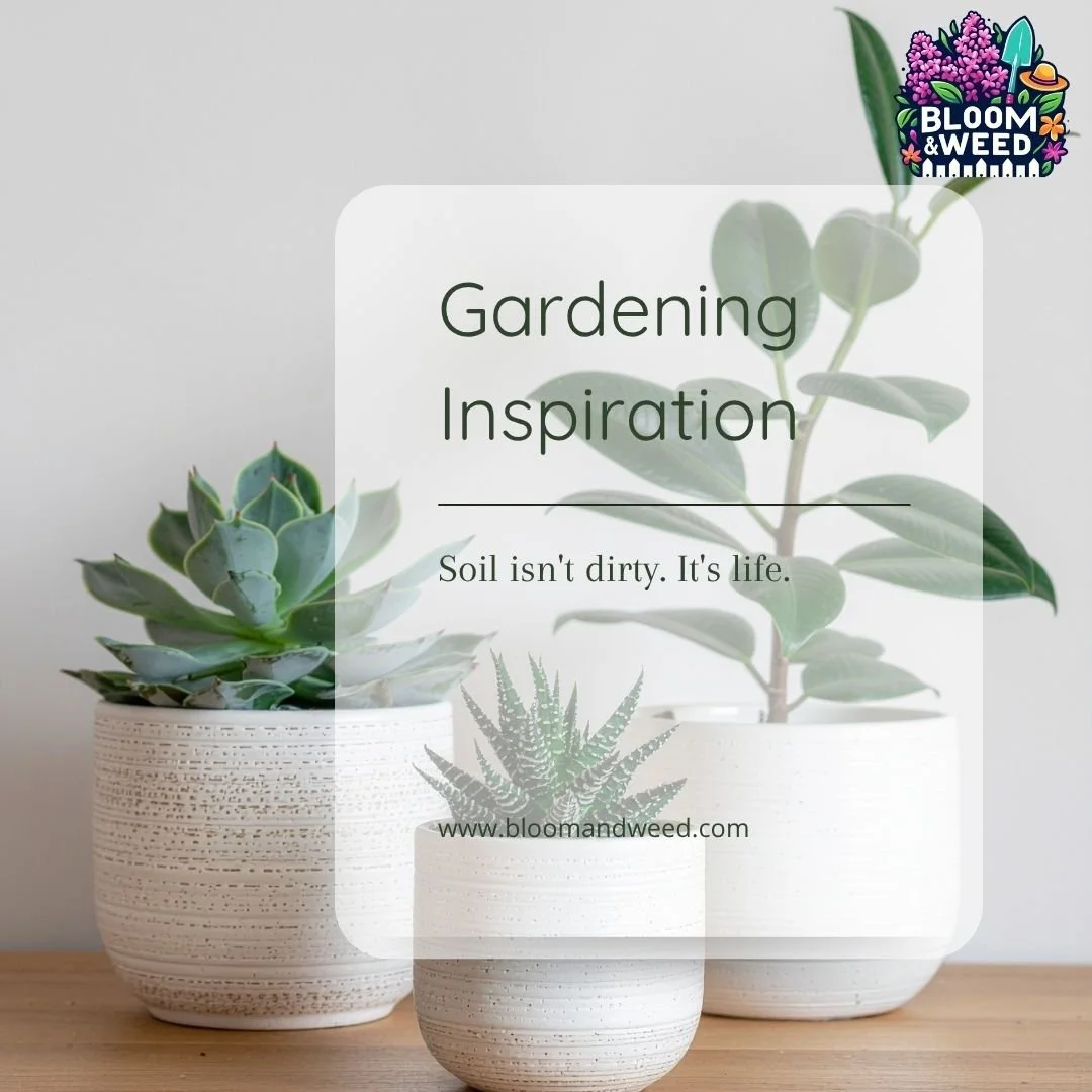 Soil isn't dirty. It's life. 🌱

Let's talk about what's actually under your feet.

Healthy soil is not just "dirt." It is a living, breathing ecosystem.

One teaspoon of healthy garden soil contains more microbes than there are people on E