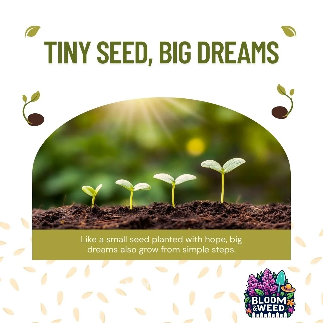 🌱 Fall Veggie Harvest: Start Planning Now (Really!) 🍂

Wait... April? For fall vegetables? Yes! But not how you might think.

Here's the truth: Some fall crops actually need a spring start.

🥬 Brussels Sprouts &ndash; Plant now (indoors or direct 