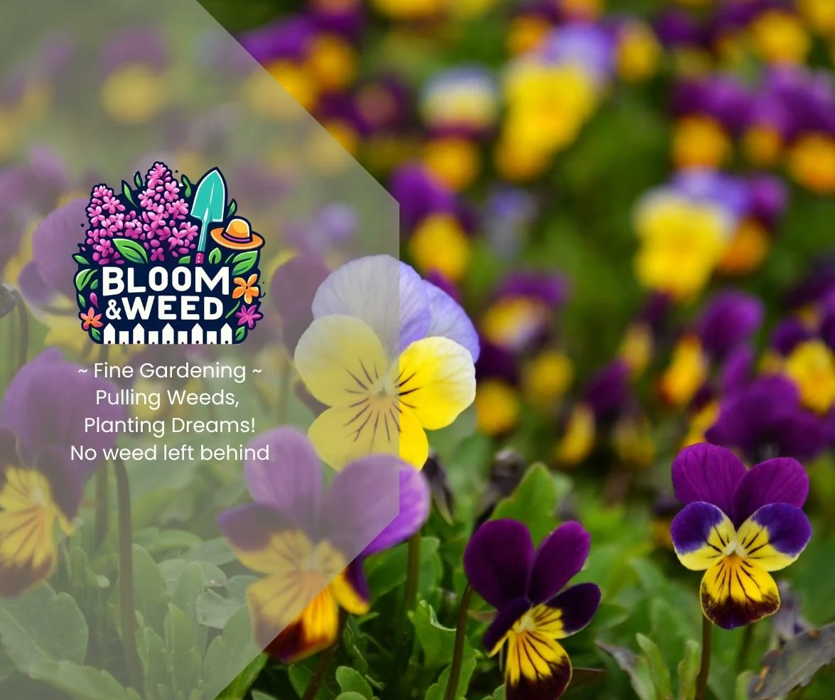 Real talk: We're fine gardeners, not speed demons, but not slow pokes either.

We show up when we say we will, work hard, and get the job done. We're not a landscaping company. Fine gardening is slower, more detailed, more intentional.

We're not goi