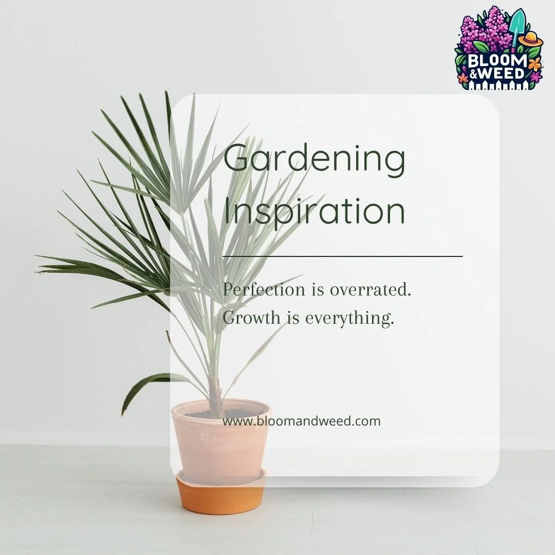 We will be real with you.

When we are detailing a garden bed, edging, pruning, laying mulch... yes, we do our absolute best to be perfect.

But here is the truth.

The most important thing is not a single stray leaf or a slightly crooked edge. The m